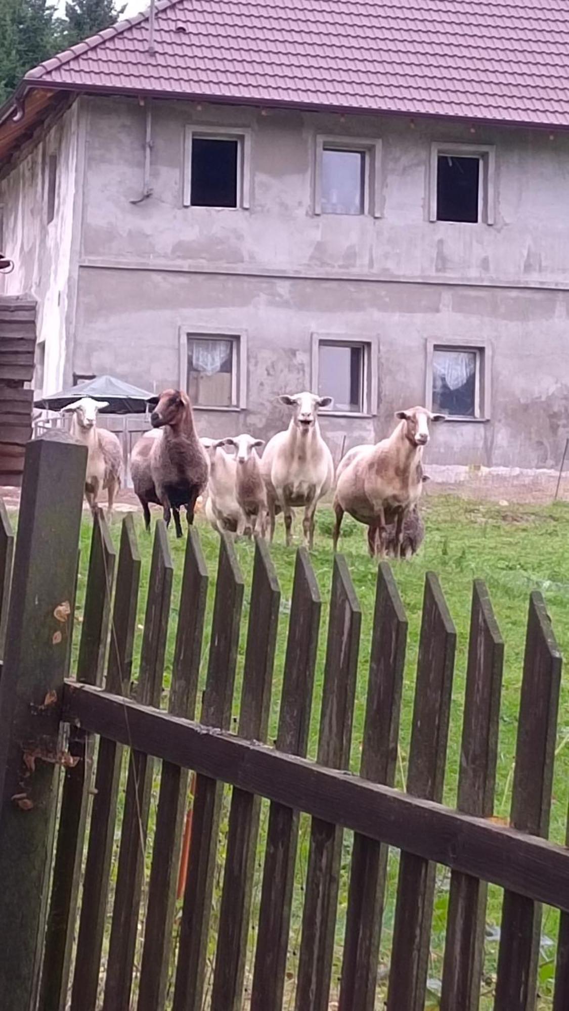 Chaloupka U Jiriho Otel Nová Pec Dış mekan fotoğraf